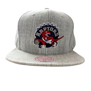 Grey Toronto Raptors Vintage Dino Logo Snapback – Mitchell & Ness – Adjustable